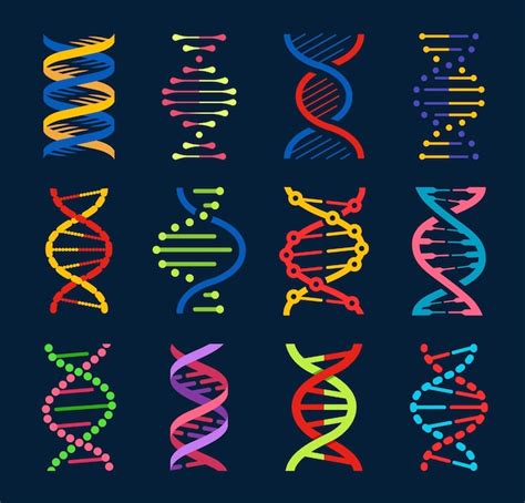 Premium Vector Dna Vector Helices Of Human Gene Molecules Genetics