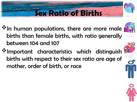 Population Composition Age And Sex Pptxn PPT