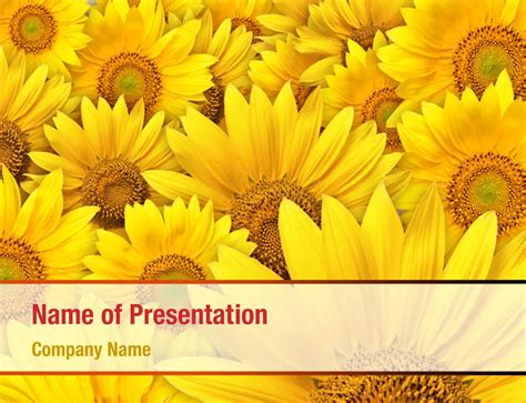 Field Of Sunflowers Powerpoint Templates Field Of Sunflowers