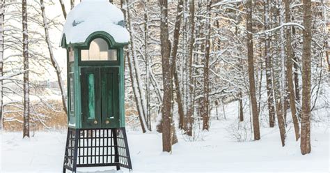 nordic investment bank calls  euros