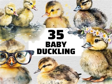 Baby Duck Clipart Duckling Clipart Duck Clipart Ducks Duckling PNG Baby ...