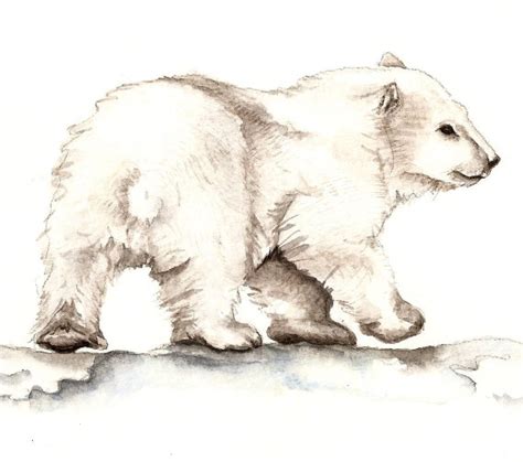 Polar Bear Cub Original Watercolor Painting 7x10'' by Goosi