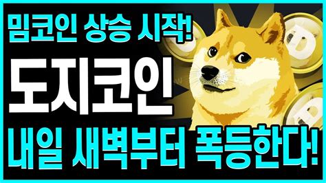 도지코인 밈코인 상승 시작합니다 도지코인 내일 새벽부터 폭등 시작 최소 5배 폭등 도지코인 도지 도지코인실시간