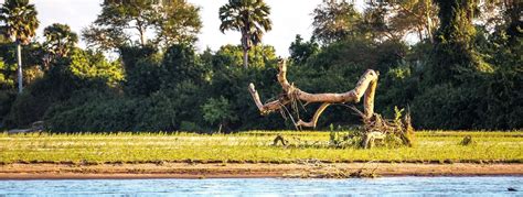 Selous Game Reserve Safari | Tanzania | Africa Sky