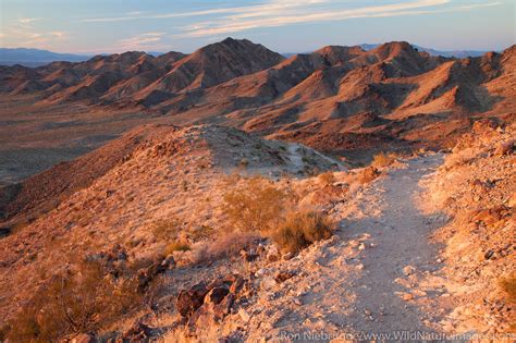 Boulder City Nv Christmas 2024 Calendar Article 2024