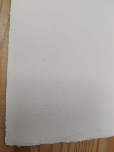 Artistic Nude Print Bfk Rives Paper Print Vintage Erotica Retro Nude