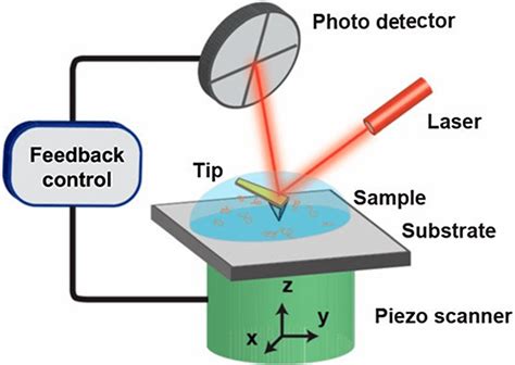 The Schematic Of Atomic Force Microscope [17] Download Scientific Diagram