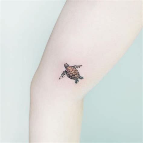 50 Mini Sea Turtle Tattoo Design Ideas For Men And Women