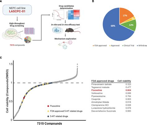 High Throughput Drug Library Screening Identified The Potential Download Scientific Diagram