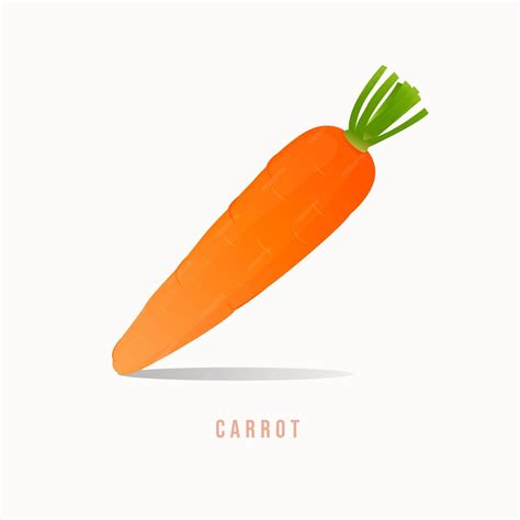 Premium Vector Carrot Modern Style Vector Illustration