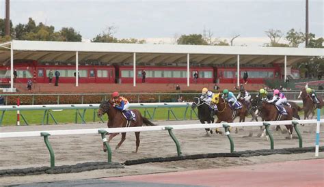 【チャンピオンズc】テーオーケインズ 6馬身差圧勝で中央g1初制覇砂の“帝王”が最強証明― スポニチ Sponichi Annex ギャンブル