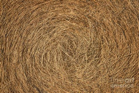 Hay Texture Photograph By Cristian M Vela Fine Art America