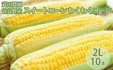 武田農園とれたて直送 スイートコーン わくわくコーン 2l 10本 みずみずしく抜群にあまい！北海道 富良野産 とうもろこし 野菜 新鮮