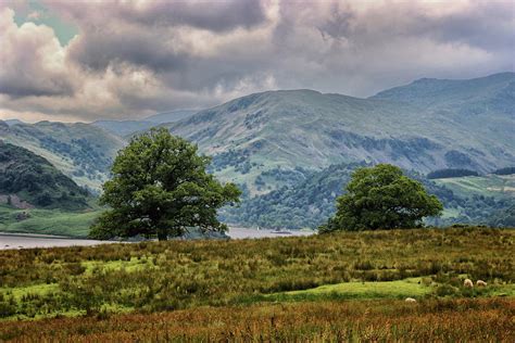 The Cumbrian Hills Photograph By Martin Newman Fine Art America