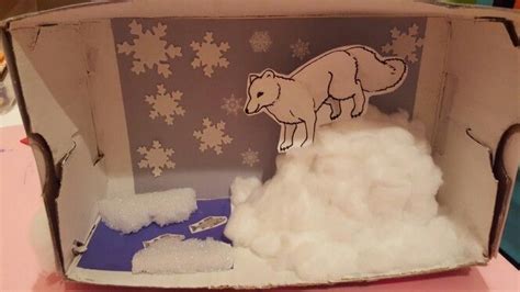 Arctic Fox Habitat Diorama