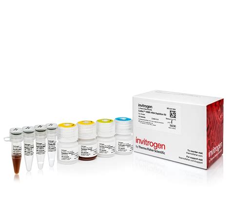 Thermo Scientific Invitrogen Collibri Stranded RNA Library Prep Kit