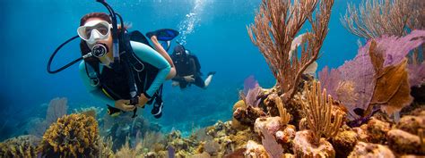 Key Largo Dive Trips | Shallow Coral Reef & Wreck Dives Daily