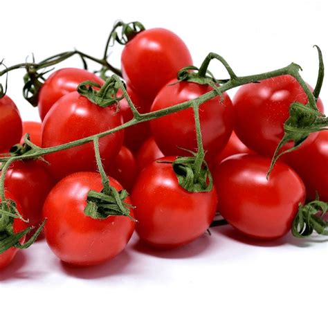 Plant De Tomate Supersweet Type Cerise