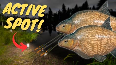 Active Bream Spot In Old Burg Lake Russian Fishing Youtube