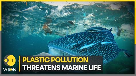 Wion Climate Tracker Plastic Pollution Threatens Marine Life World