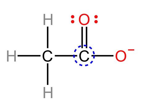 What hybridization do you expect for the atom indicated in e | Quizlet