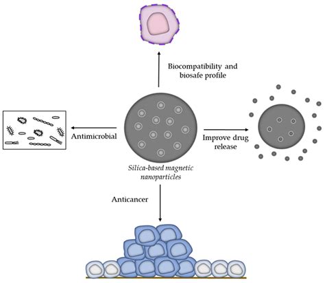 Magnetochemistry Free Full Text Biological Applications Of Silica