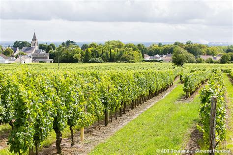 Ch Teau Near Bourgueil Vineyard Loire Valley Vineyard