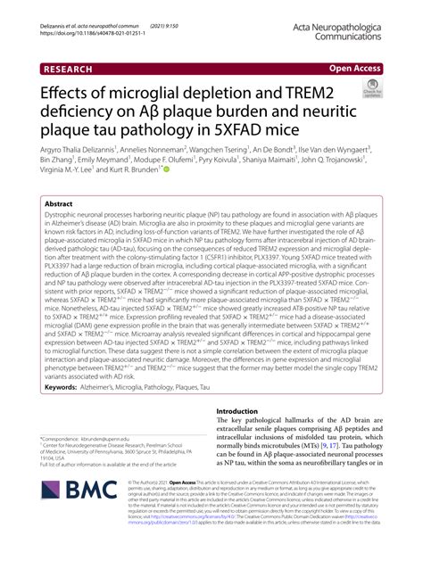 Pdf Effects Of Microglial Depletion And Trem2 Deficiency On Aβ Plaque