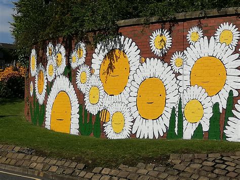 Daisy Daisy R Graffiti