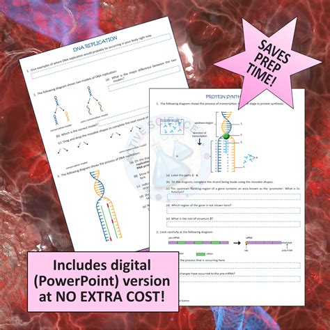 Dna Structure Replication And Protein Synthesis Us Edition Made By