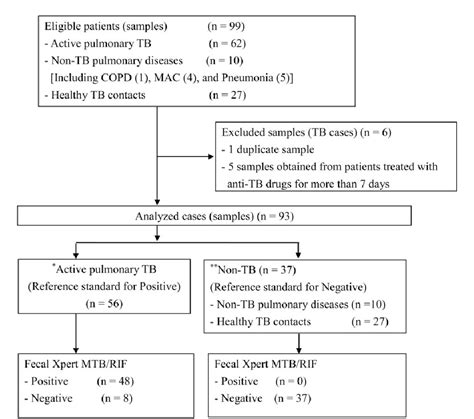 Pathophysiology Of Pulmonary Tuberculosis In Flow Chart Keski