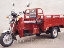 Cargo Moto Three Wheeler Foton Wuxing Zongshen Dayun Loncin Dayang