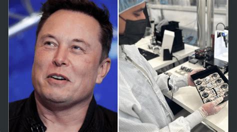 Elon Musk Recibe Permiso Para Implantar Chip En Cerebros De Humanos Con