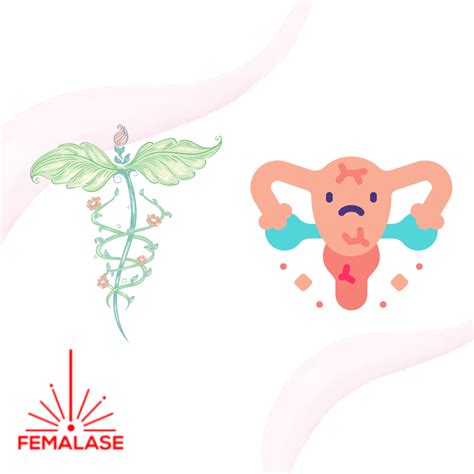 Natural Treatment for Vaginal Atrophy - Femalase - Female Laser Clinics ...