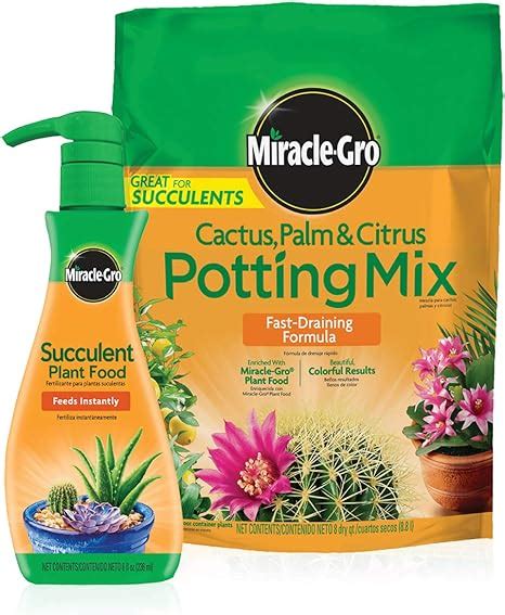 Amazon Miracle Gro Cactus Palm Citrus Potting Mix And Plant