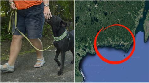 Svensk kvinna brukade ha sex med hundar får ändå vara hundvakt