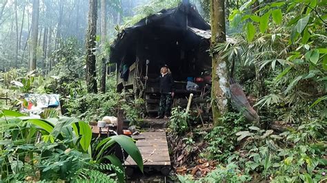 Gak Nyangka Dikira Rumah Terbengkalai Dalam Hutan Ternyata Ada