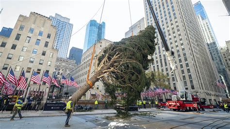 Rockefeller Tree Christmas