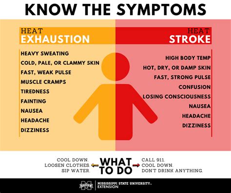 Heat Stress Vs Heat Exhaustion Vs Heat Stroke