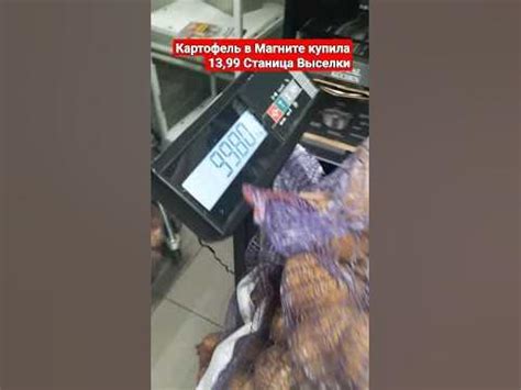 Картофель в Магните купила 13,99 Станица Выселки - YouTube