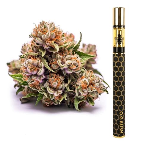 THC-P Vape Blend Disposable