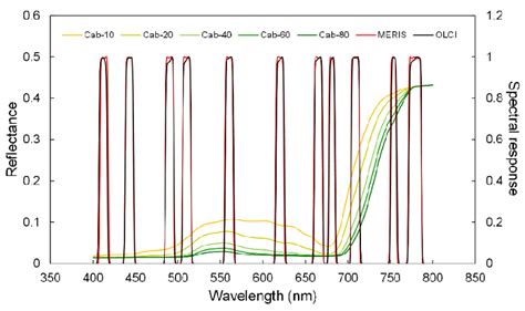 Canopy Reflectance Spectra For Various Levels Of Lcc Cab G Cm