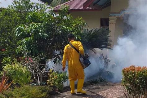 Kasus DBD Naik Dinkes Kota Pariaman Lakukan Fogging Di Sejumlah Lokasi