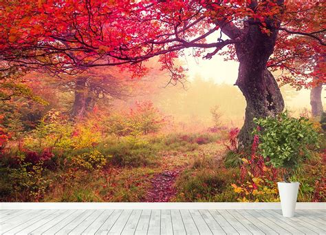 autumn trees in forest Wall Mural Wallpaper | Canvas Art Rocks