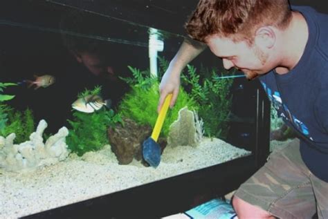 How to Clean a Fish Tank? (DIY)