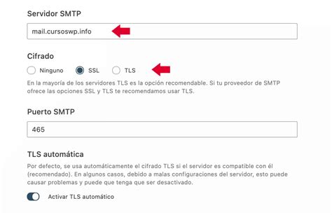 Smtp En Wordpress Configuraci N Para Env O De Correos Decodecms