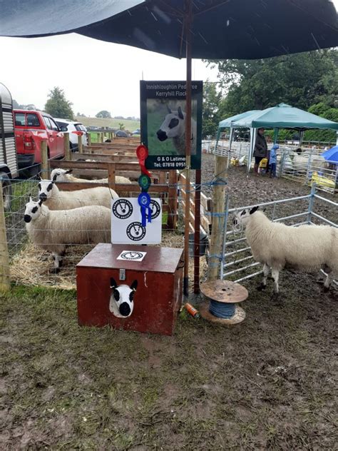 Glen Latimer 18th March 2024 Kerry Hill Sheep Society