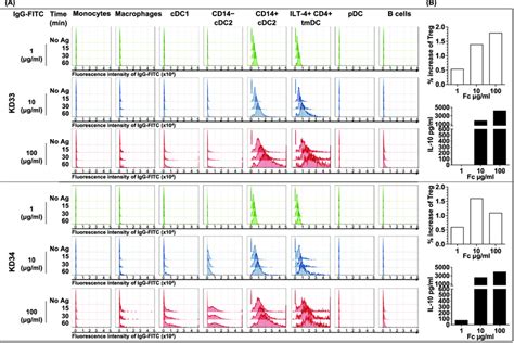 Internalization Of Igg Fitc By Different Apc Populations And Expansion