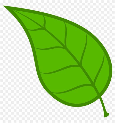 clipart leaves