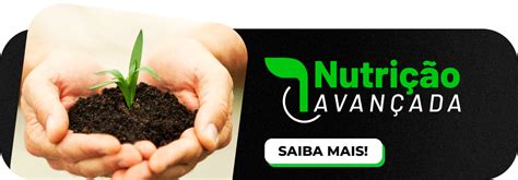 Fertilizantes O Que S O Para Que Servem E Quais Os Tipos